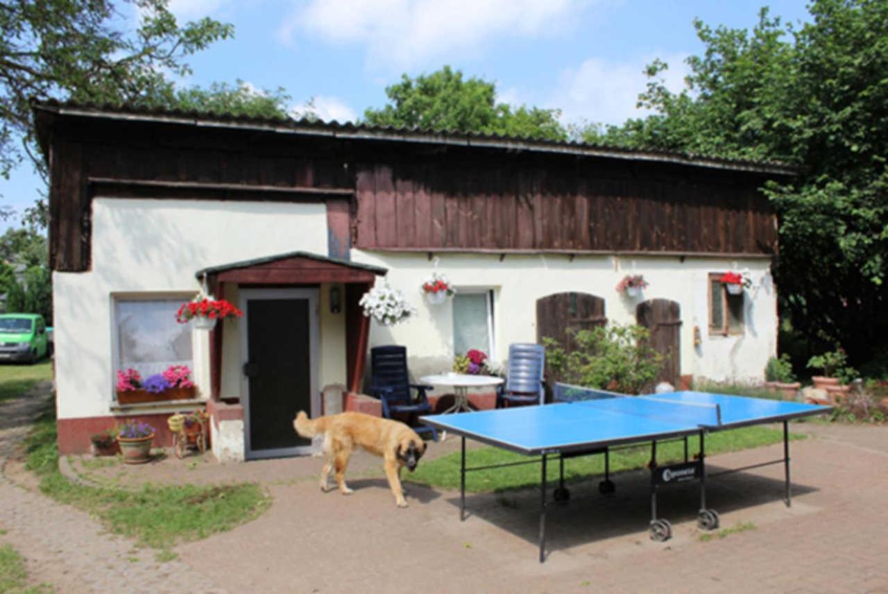Heidi Apartment ซินโนวิทซ์ ภายนอก รูปภาพ